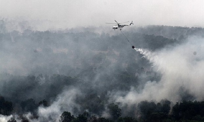 Haze from Indonesian fires may have killed more than 100,000 people 